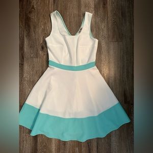 Mystique Skater dress